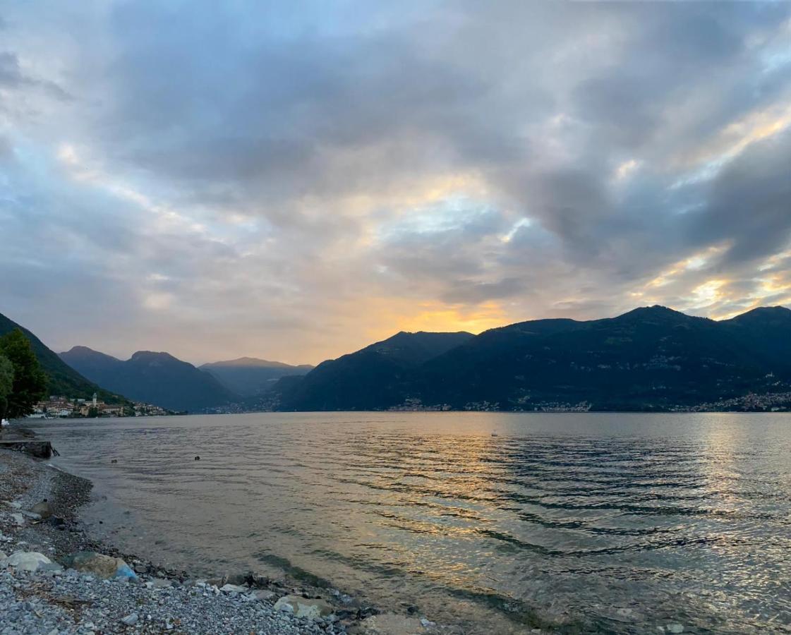 Lake House Near Bellagio Villa Lezzeno Eksteriør billede